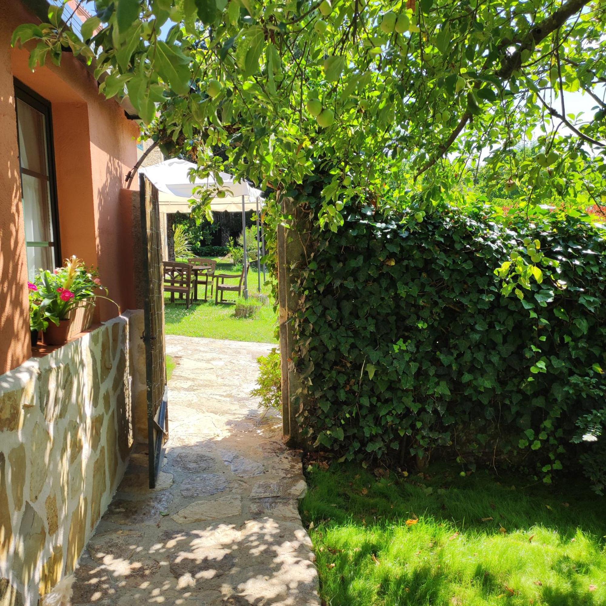 Casa Dos Cregos Apartment Bascuas Luaran gambar