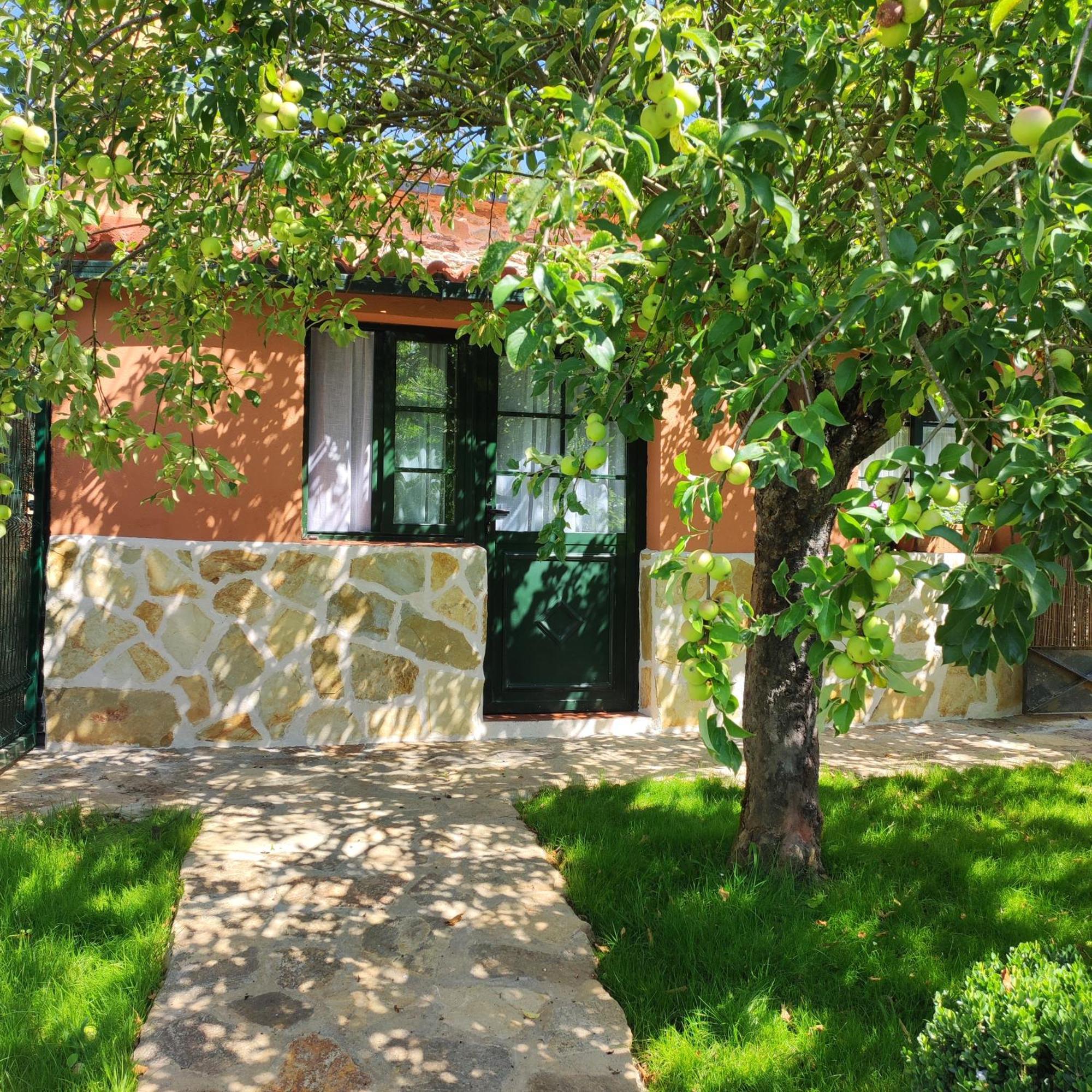Casa Dos Cregos Apartment Bascuas Luaran gambar